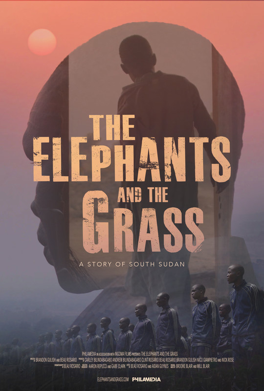 The Elephants and the Grass